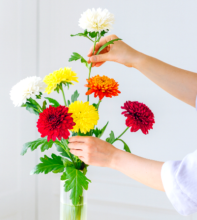 重陽の節句、菊の花を飾る