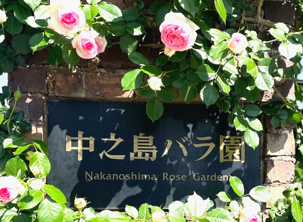 中之島バラ園