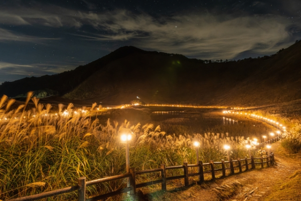曽爾高原 山灯り ススキ