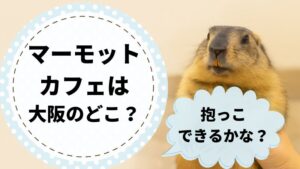 マーモットカフェ大阪　守口　最寄り駅　料金プラン