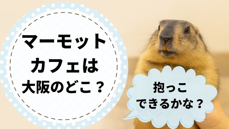 マーモットカフェ大阪　守口　最寄り駅　料金プラン