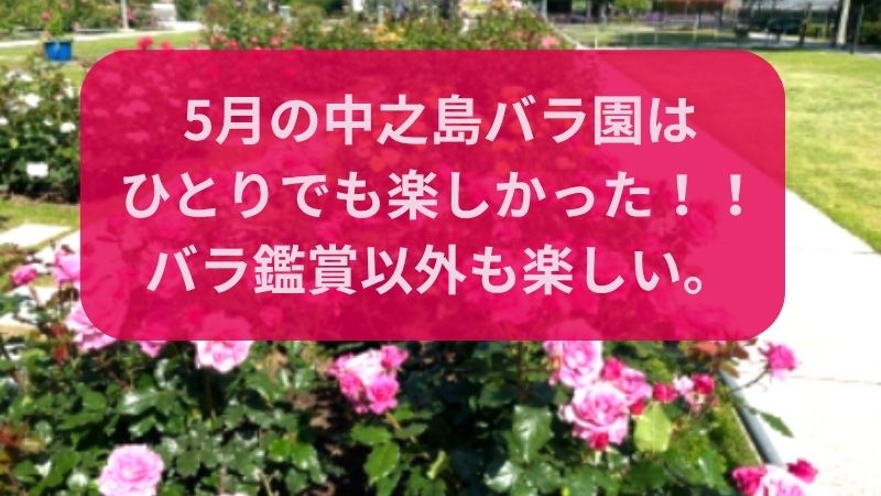 中之島バラ園　ひとり　楽しい　バラ鑑賞以外　北浜