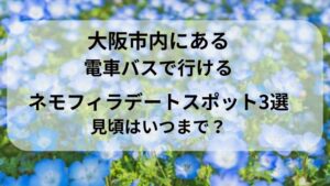 大阪市内　ネモフィラ デートスポット　大阪まいしまシーサイドパーク　長居植物園　長居公園　花博記念公園 鶴見緑地