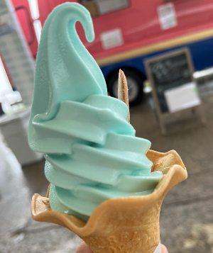 ネモフィラ祭り 大阪舞洲シーサイドパーク ブルーソフトクリーム ブルーアイ