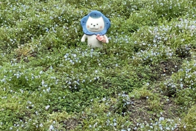 ネモにゃん 大阪舞洲シーサイドパーク