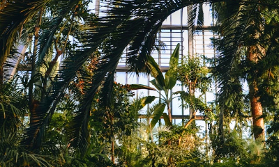 花博鶴見緑地公園 咲くやこの花館 植物園 温室 イメージ写真